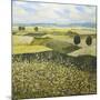 Green Hills-Allan Friedlander-Mounted Art Print