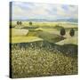 Green Hills-Allan Friedlander-Stretched Canvas