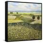 Green Hills-Allan Friedlander-Framed Stretched Canvas