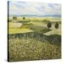 Green Hills-Allan Friedlander-Stretched Canvas