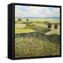 Green Hills-Allan Friedlander-Framed Stretched Canvas