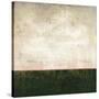 Green Horizon-Kari Taylor-Stretched Canvas