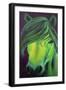 Green Horse-Doris Joa-Framed Giclee Print