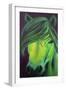 Green Horse-Doris Joa-Framed Giclee Print