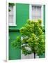 Green House in Notting Hill - London - UK - England - United Kingdom - Europe-Philippe Hugonnard-Framed Photographic Print