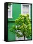 Green House in Notting Hill - London - UK - England - United Kingdom - Europe-Philippe Hugonnard-Framed Stretched Canvas