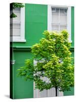 Green House in Notting Hill - London - UK - England - United Kingdom - Europe-Philippe Hugonnard-Stretched Canvas