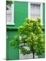 Green House in Notting Hill - London - UK - England - United Kingdom - Europe-Philippe Hugonnard-Mounted Photographic Print