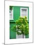 Green House in Notting Hill - London - UK - England - United Kingdom - Europe-Philippe Hugonnard-Mounted Photographic Print