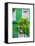 Green House in Notting Hill - London - UK - England - United Kingdom - Europe-Philippe Hugonnard-Framed Stretched Canvas