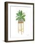 Green House Plants I-Farida Zaman-Framed Art Print