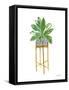Green House Plants I-Farida Zaman-Framed Stretched Canvas