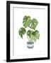 Green House Plants II-Farida Zaman-Framed Art Print