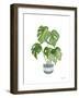 Green House Plants II-Farida Zaman-Framed Art Print