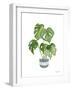 Green House Plants II-Farida Zaman-Framed Art Print