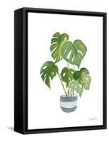 Green House Plants II-Farida Zaman-Framed Stretched Canvas