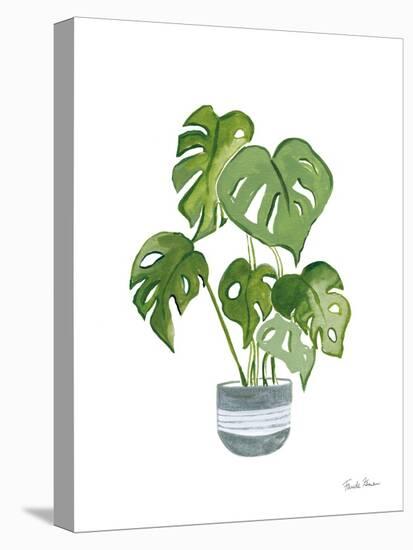 Green House Plants II-Farida Zaman-Stretched Canvas