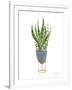 Green House Plants IV-Farida Zaman-Framed Art Print
