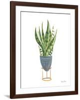 Green House Plants IV-Farida Zaman-Framed Art Print