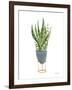 Green House Plants IV-Farida Zaman-Framed Art Print