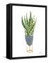 Green House Plants IV-Farida Zaman-Framed Stretched Canvas