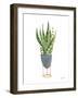 Green House Plants IV-Farida Zaman-Framed Art Print