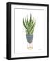 Green House Plants IV-Farida Zaman-Framed Art Print