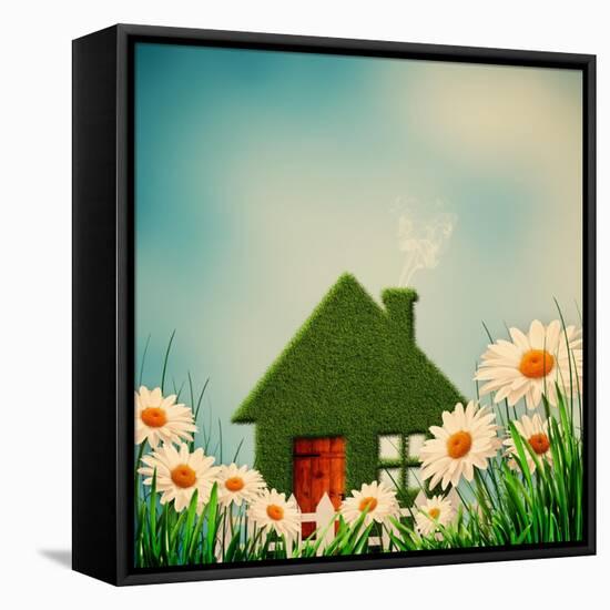 Green House-dtolokonov-Framed Stretched Canvas