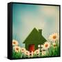 Green House-dtolokonov-Framed Stretched Canvas