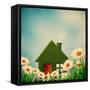 Green House-dtolokonov-Framed Stretched Canvas