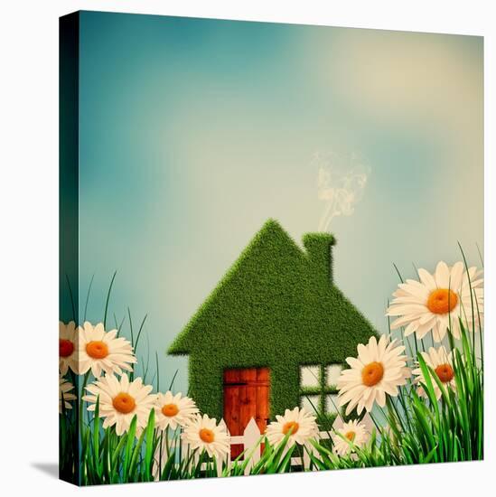 Green House-dtolokonov-Stretched Canvas