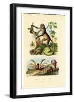 Green Huntsman Spider, 1833-39-null-Framed Giclee Print