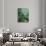 Green I-Solveiga-Giclee Print displayed on a wall