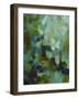 Green I-Solveiga-Framed Giclee Print