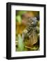 Green Iguana, Costa Rica-Paul Souders-Framed Photographic Print