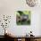 Green Iguana - Florida-Philippe Hugonnard-Photographic Print displayed on a wall