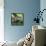 Green Iguana - Florida-Philippe Hugonnard-Framed Stretched Canvas displayed on a wall