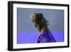 Green Iguana (Iguana Iguana), Boca Tapada, Alajuela Province, Costa Rica, Central America-Matthew Williams-Ellis-Framed Photographic Print