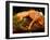 Green Iguana, Iguana Iguana, Native to Mexico and Central America-David Northcott-Framed Premium Photographic Print