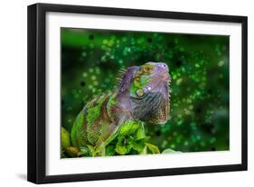 Green Iguana-Don Spears-Framed Premium Giclee Print