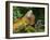 Green Iguanas (Iguana Iguana), Costa Rica-Andres Morya Hinojosa-Framed Premium Photographic Print