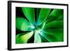 Green Intrigue-Bruce Nawrocke-Framed Photographic Print