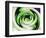 Green Is Life-Herb Dickinson-Framed Photographic Print