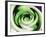 Green Is Life-Herb Dickinson-Framed Photographic Print