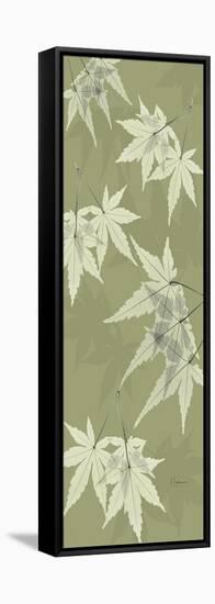 Green Japanese Maple-Albert Koetsier-Framed Stretched Canvas