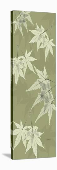 Green Japanese Maple-Albert Koetsier-Stretched Canvas