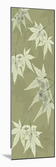 Green Japanese Maple-Albert Koetsier-Mounted Art Print