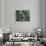 Green Joy-Mario Persico-Giclee Print displayed on a wall