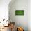 Green Kale Fresh Produce Photo Poster Print-null-Stretched Canvas displayed on a wall