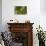Green Kingfisher-Joe McDonald-Mounted Photographic Print displayed on a wall